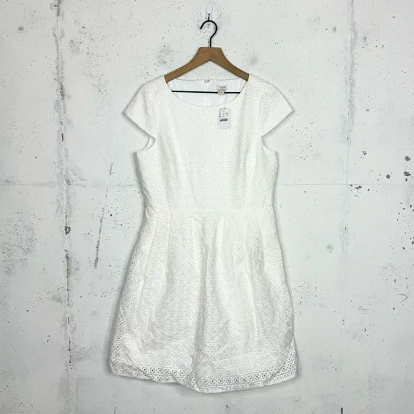 J. Crew Factory | Dresses | J Crew Eyelet White Lace Fit Flare Dress Size 2  | Poshmark